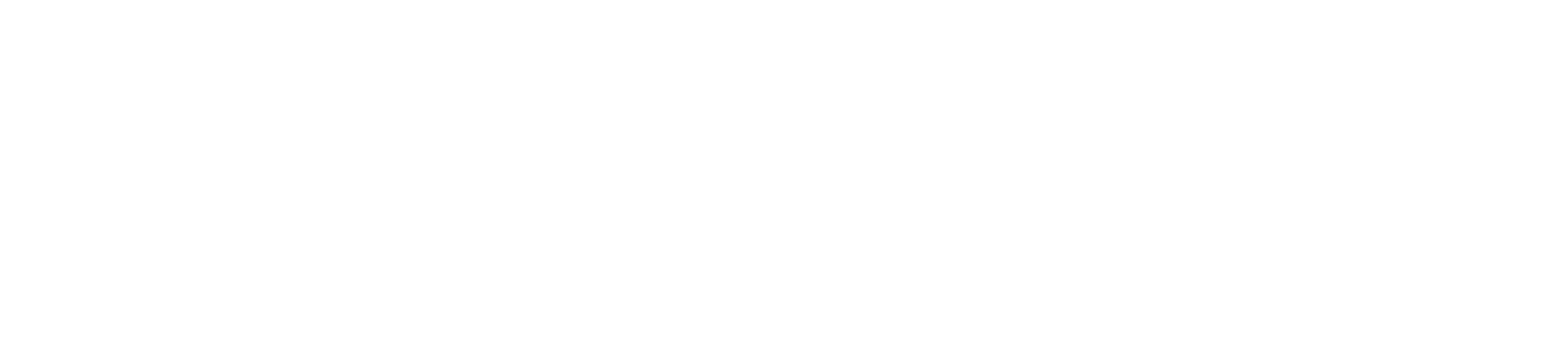Leoncita Sports